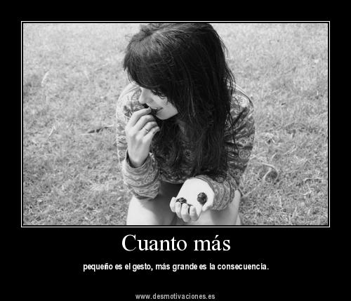 FRASE DIARIA