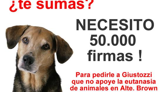 Petición a Darío Giustozzi