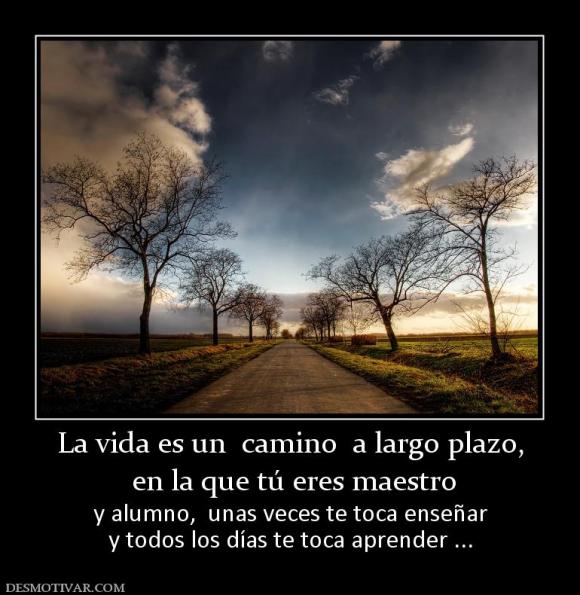 FRASE DIARIA