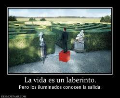 FRASE  DIARIA