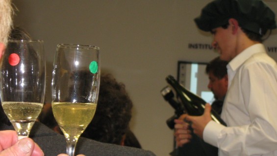 Crean en Mendoza un vino único en el mundo : “El espumante complejo”, el primer producto vinario argentino