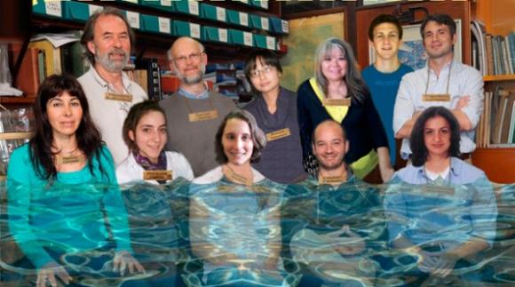 Cientificos Argentinos detectan la vinculación entre los mejillones dorados y toxinas en el agua