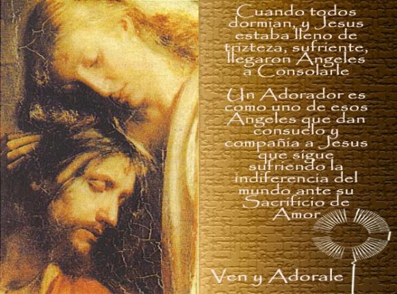 FRASE  DIARIA.