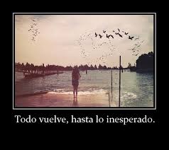 FRASE DIARIA.