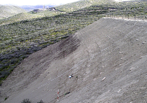 Investigadores Argentinos del INTA logran con especies nativas recuperar zonas erosionadas por la actividad petrolera