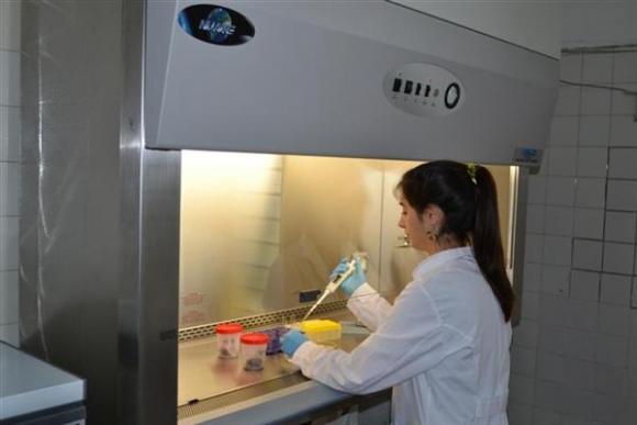 Investigadores Argentinos desarrollan en La Plata una nueva fórmula de vacuna oncológica