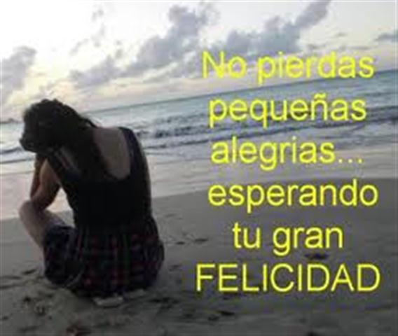 FRASE  DIARIA