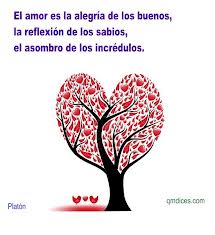 FRASE DIARIA