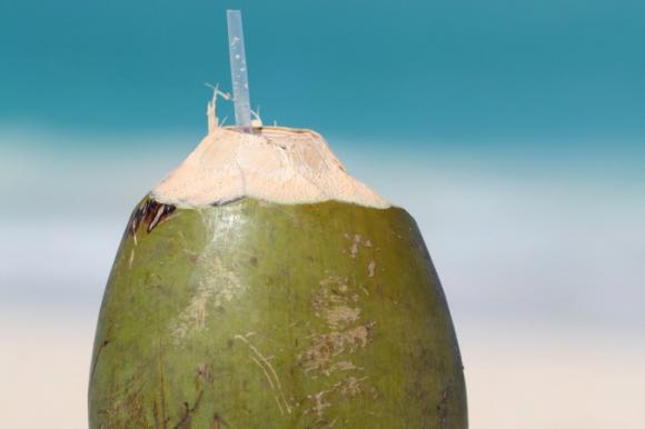 Ocho razones para agregar coco a su dieta