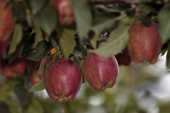 Diez alimentos sorprendentemente altos en azúcar y carbohidratos