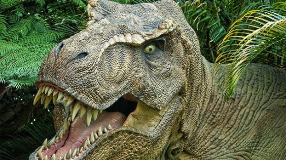 Descubren un ´parque jurásico´ bajo el petróleo de Venezuela