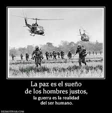 FRASE DIARIA