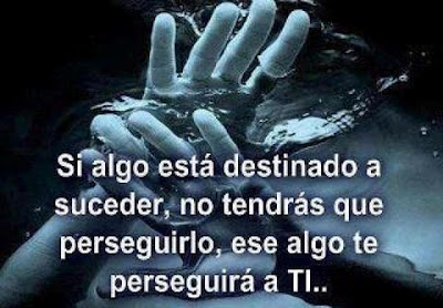 FRASE DIARIA