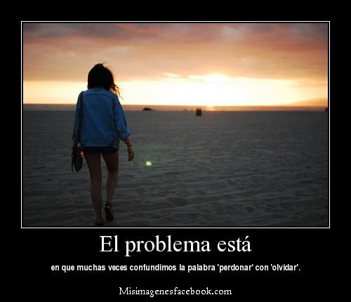 FRASE DIARIA