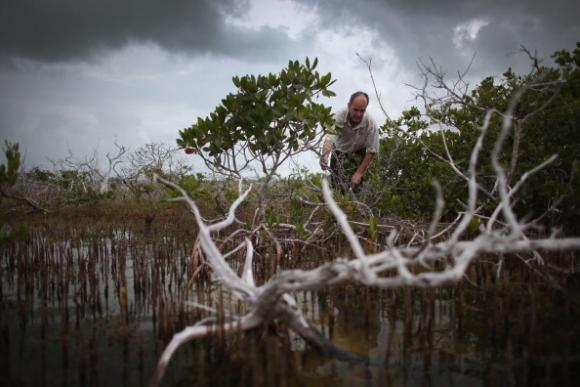 Anticipo del Panel de Cambio Climático: aguas del océano subirán un metro este siglo