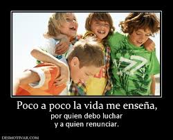 FRASE DIARIA