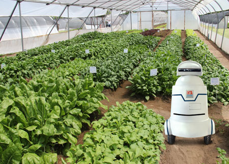 Investigadores Argentinos del INTA crean un robot con inteligencia artificial para invernáculos‏