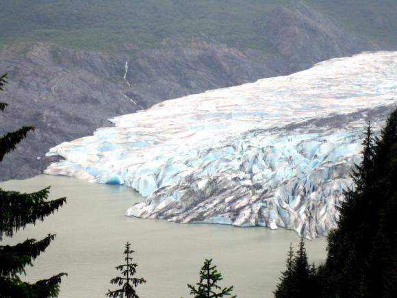 Alaska: el Glaciar Mendenhall se derrite y descubre antiguo bosque