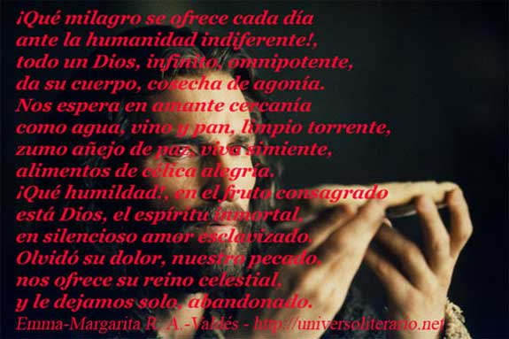 FRASE DIARIA