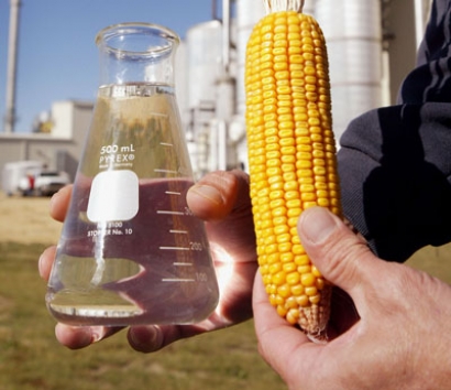 Planta de bioetanol de Argentina provoca enfermedades