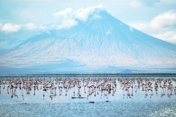 El lago Natron, al norte de Tanzania convierte las aves en piedra