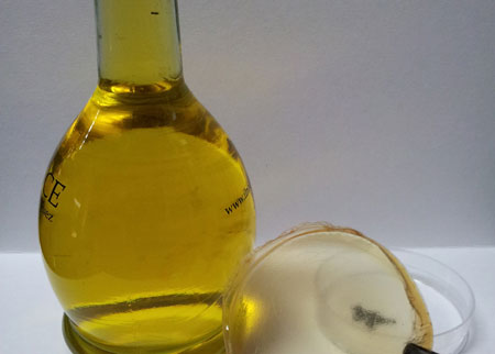 Investigadores Argentinos desarrollaron una lámina comestible que recubre las carnes, frutas y verduras, para evitar su oxidación