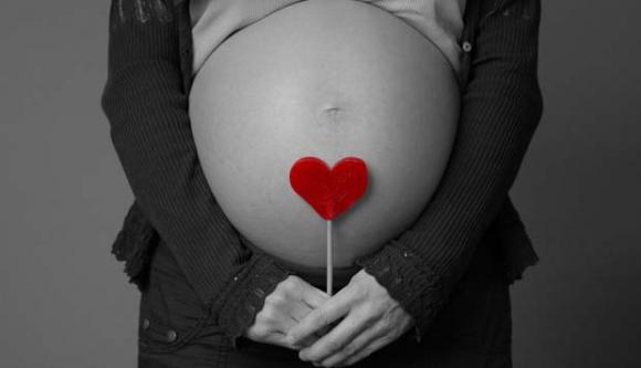 FAMILIA Y VIDA; Lo que está en juego. Elecciones argentinas 2013. 