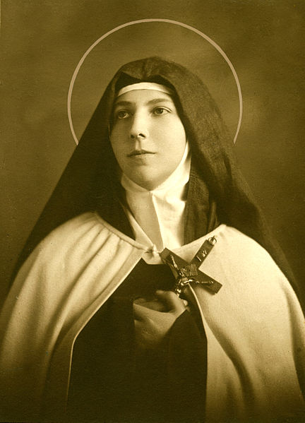 SANTA TERESA DE LOS ANDES
