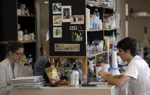 Argentina: médicos señalan a agrotóxicos como responsables de enfermedades modernas