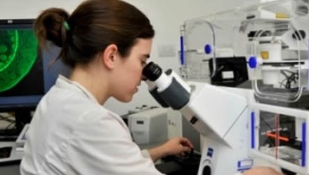 Investigadores Argentinos crean microcapsulas para incorporar aceites beneficiosos al organismo