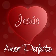 FRASE DIARIA