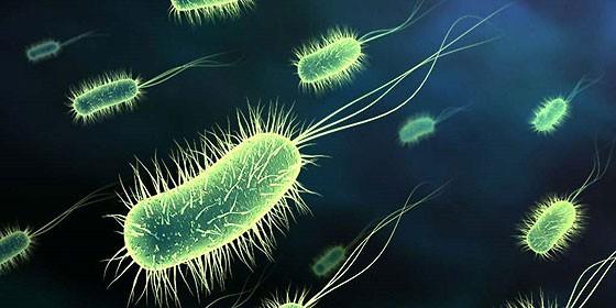 Alerta mundial por una nueva bacteria mortal que no hay antibiótico que pueda con ella