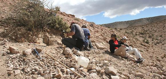 Paleontólogos Argentinos hallaron un fósil que explica el origen de los cocodrilos