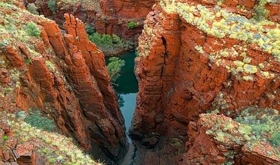 En Australia descubren vida de hace 3,5 mil millones de años