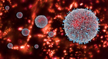 Investigadores Argentinos trabajan en el diseño de nanovacunas tripuladas