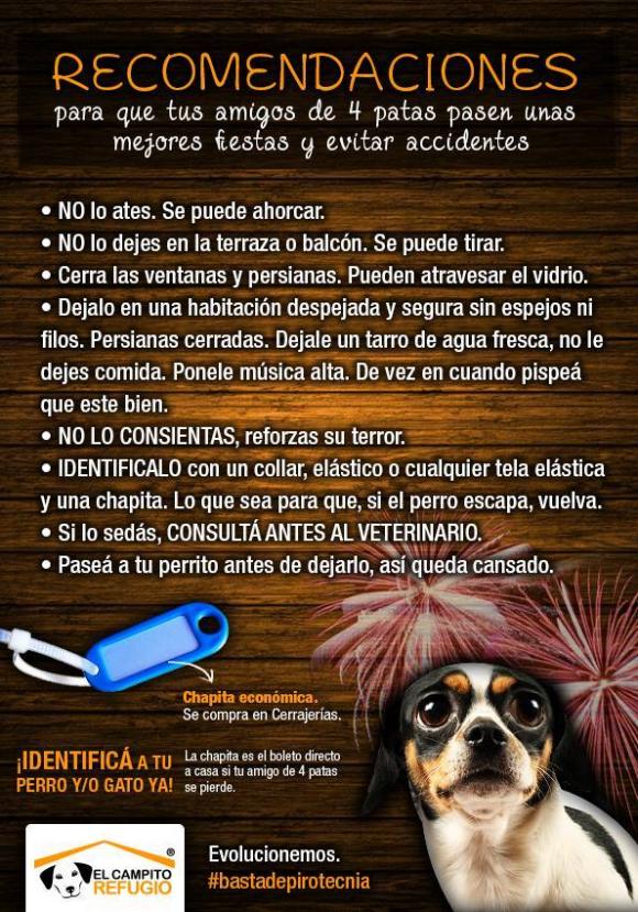 CAMPAÑA NO A LA PIROTECNIA