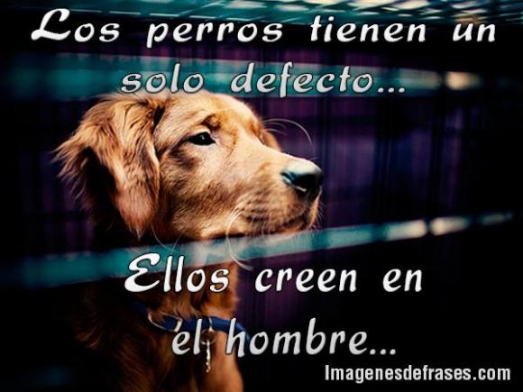 Una decisión puede cambiar una vida...