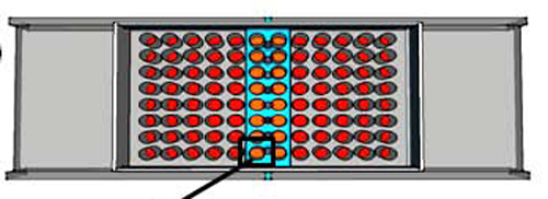 Investigadores Argentinos desarrollan nuevo método “magnético” para detectar la enfermedad celíaca