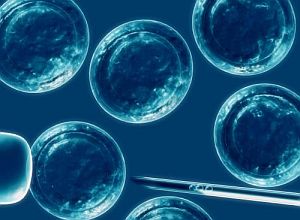 Avance de científicos argentinos contra la diabetes