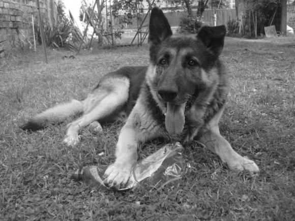 El amor de mi vida siempre has sido tú....