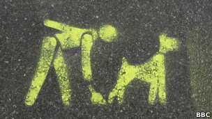 Los perros se alinean con el campo magnético de la Tierra para defecar