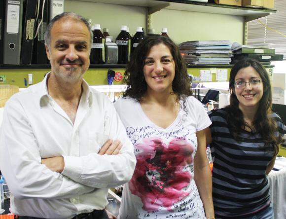 Investigadores Argentinos descubren una proteína supresora de tumores