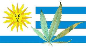 La legalización de la marihuana hará hundirse a la familia