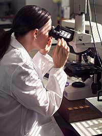 Relacionan niveles altos de colesterol HDL con un menor riesgo de cáncer