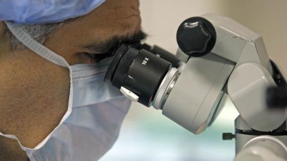 Descubren en Argentina un proceso clave en la replicación del cáncer