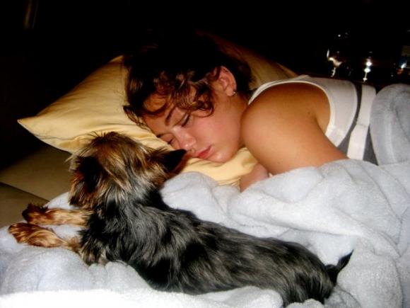 Alergia a los animales domésticos de compañía