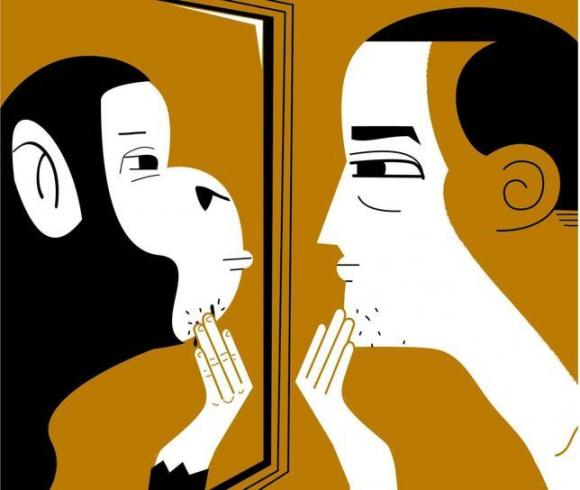 Identifican el área del cerebro que nos hace humanos