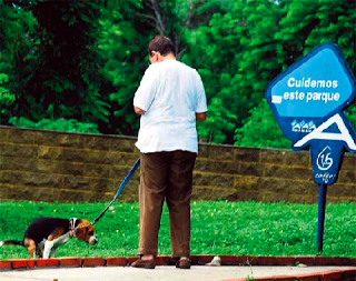 Fecalismo canino al aire libre: un grave problema ambiental