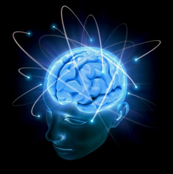 ¿Sabías que el cerebro se encoje con la edad?