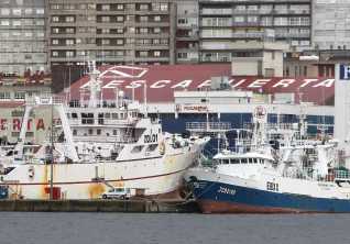 Aumenta flota pesquera española en Malvinas